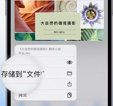 武冈apple维修中心分享iPhone文件应用中存储和找到下载文件