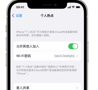 武冈apple服务站点分享iPhone上个人热点丢失了怎么办