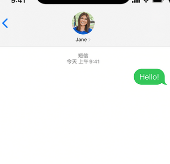 武冈apple维修iPhone上无法正常发送iMessage信息