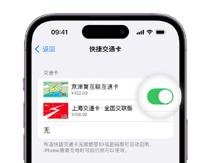 武冈apple维修点分享iPhone上更换Apple Pay快捷交通卡手绘卡面 