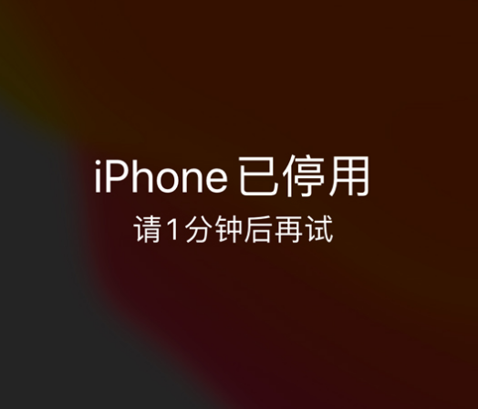 武冈苹果手机维修分享:iPhone 显示“不可用”或“已停用”怎么办？还能保留数据吗？ 