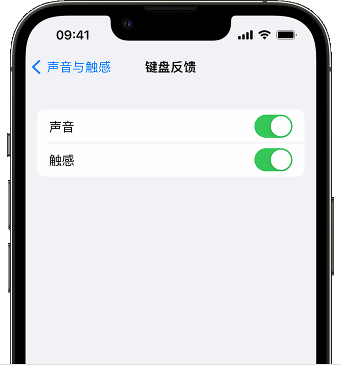 武冈苹果14维修店分享如何在 iPhone 14 机型中使用触感键盘 