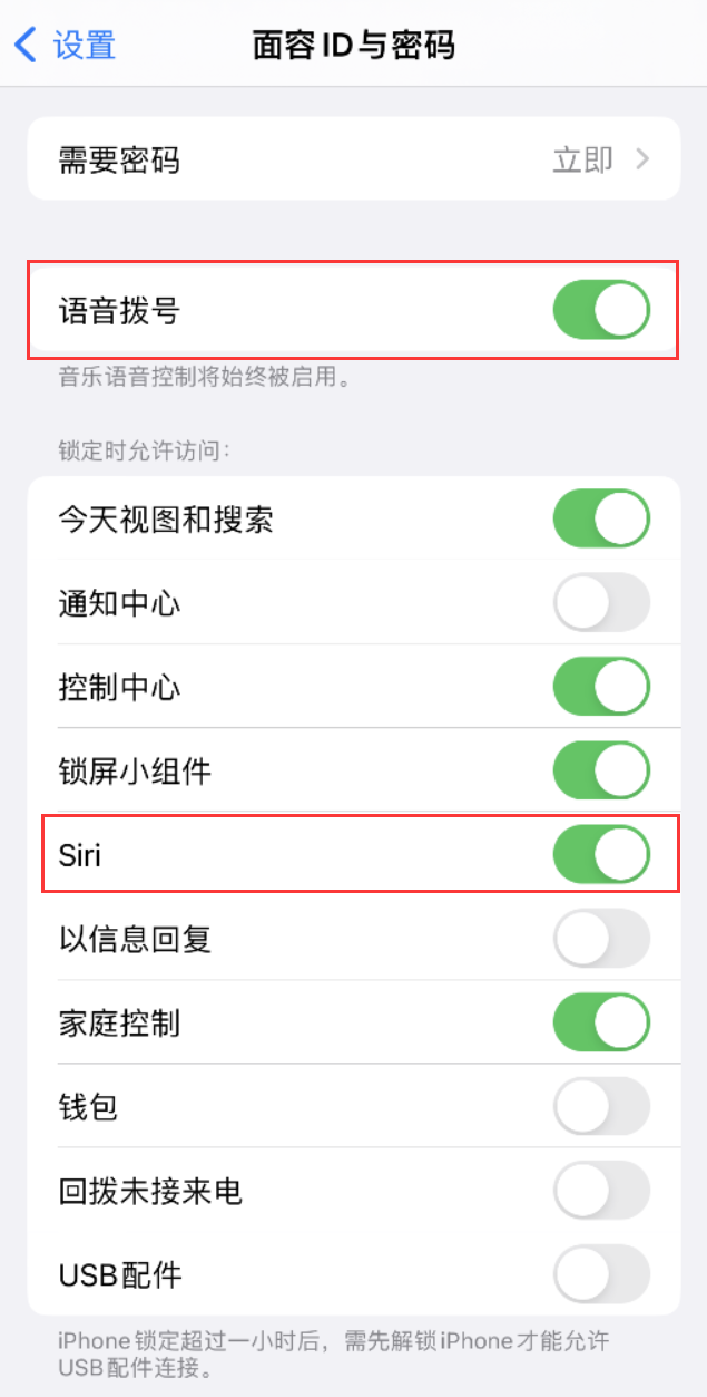 武冈苹果维修网点分享不解锁 iPhone 的情况下通过 Siri 拨打电话的方法 