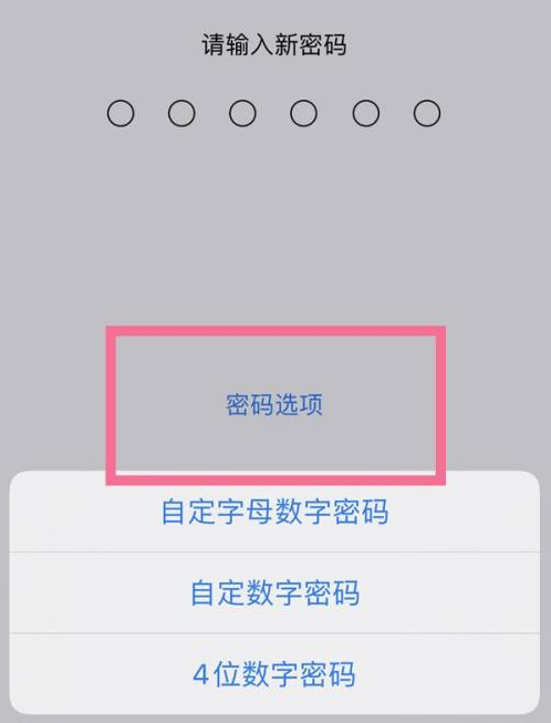 武冈苹果14维修分享iPhone 14plus设置密码的方法 