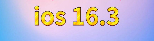 武冈苹果服务网点分享苹果iOS16.3升级反馈汇总 