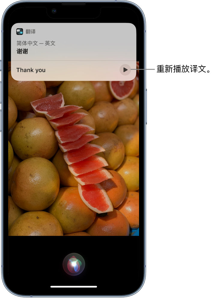 武冈苹果14维修分享 iPhone 14 机型中使用 Siri：了解 Siri 能帮你做什么 