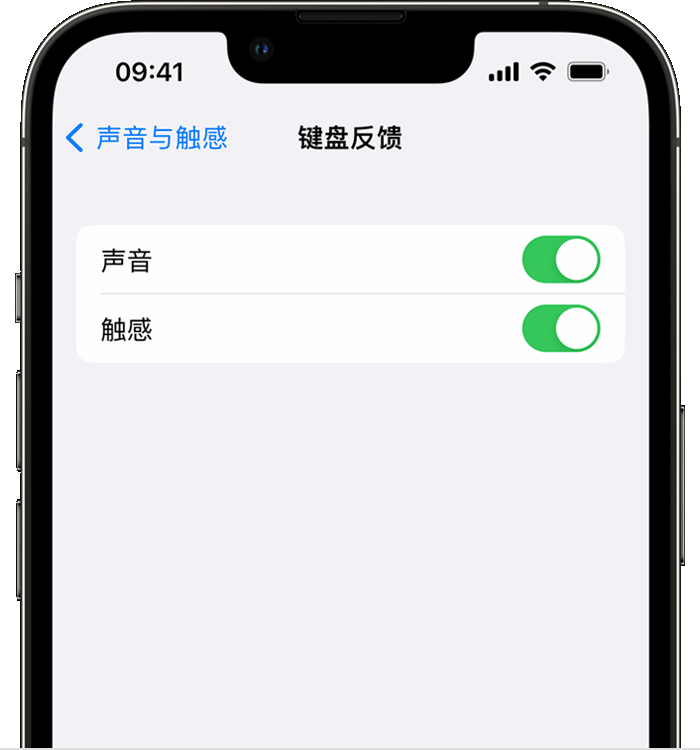 武冈苹果14维修分享iPhone 14 系列机型如何开启键盘声音或触感反馈 