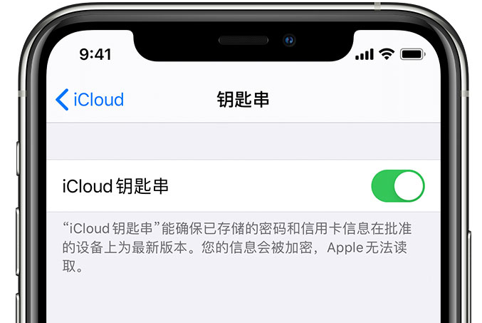 武冈苹果手机维修分享在 iPhone 上开启 iCloud 钥匙串之后会储存哪些信息 