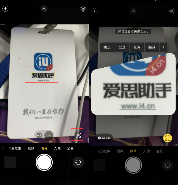 武冈苹果手机维修分享升级iOS 16后如何通过相机翻译文本 