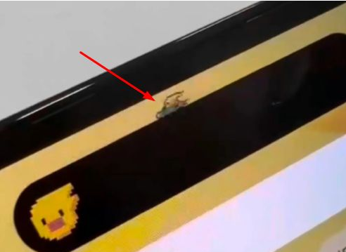 武冈苹果14维修分享iPhone 14 Pro Max灵动岛怎么养宠物 