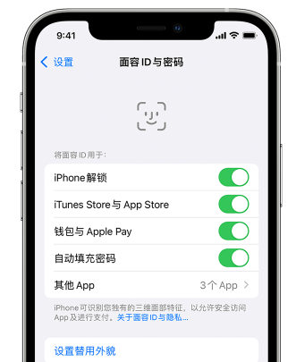 武冈苹果手机维修分享升级iOS 16 后 Face ID不可用怎么办 