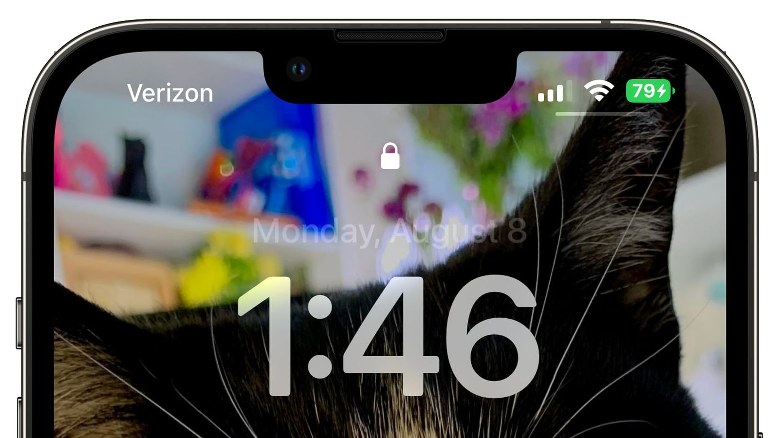 武冈苹果手机维修分享iOS 16 beta 5 支持状态栏显示电池百分比，如何开启？支持哪些机型 