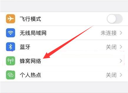 武冈苹果手机维修分享iPhone手机4G网络怎么设置成5G网络 