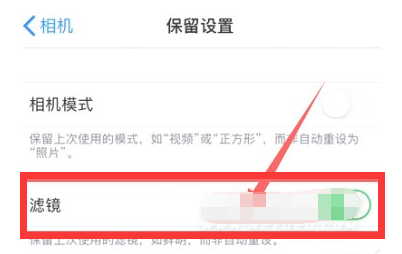 武冈苹果13维修分享iPhone13拍照有绿点是怎么回事 
