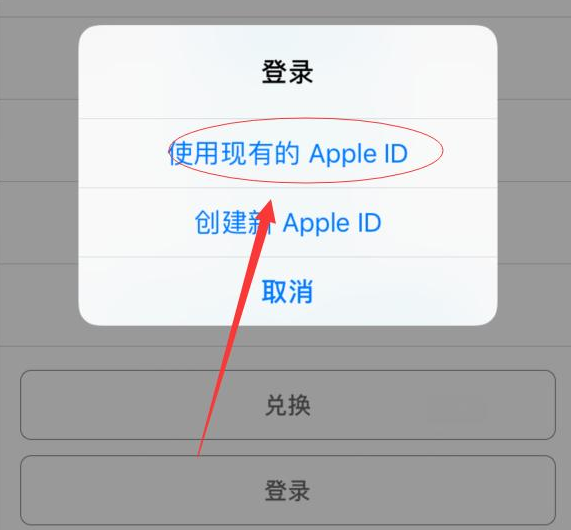 武冈苹果手机维修分享两台iPhone设备可以同时登录一个Apple ID吗 