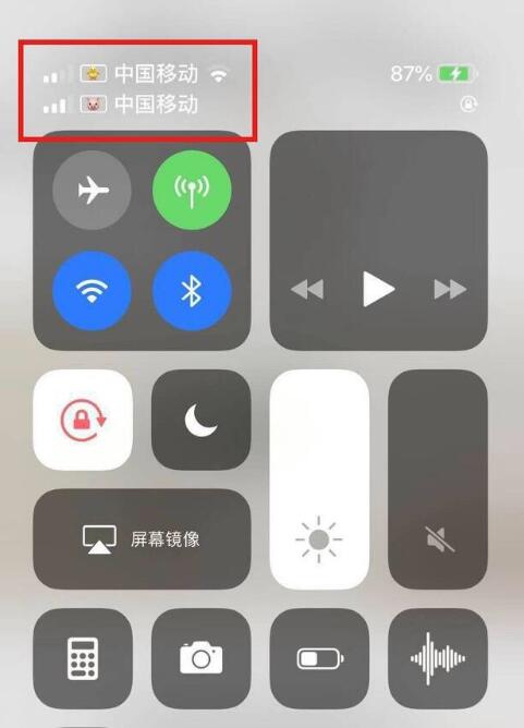 武冈苹果手机维修分享为 iPhone 12 双卡设置标签 