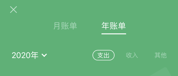 武冈苹果手机维修分享如何在 iPhone 上查看支付宝和微信年支出账单 