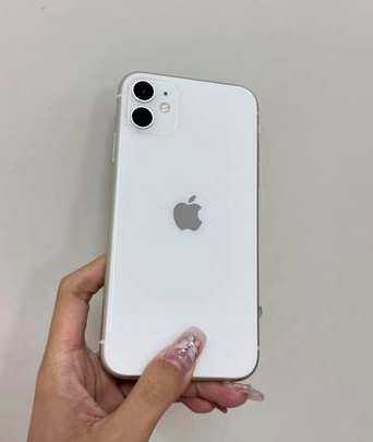 武冈苹果维修点分享iPhone 11黑屏特殊场景解析 