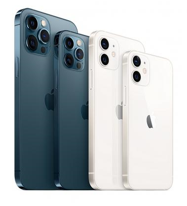 武冈苹果维修点分享iPhone 12 Pro黑屏小众问题解析 